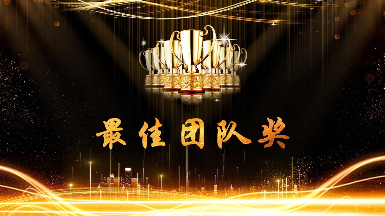 晚会颁奖 (9).pptx